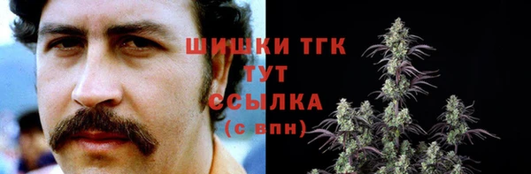 сатива Пестово