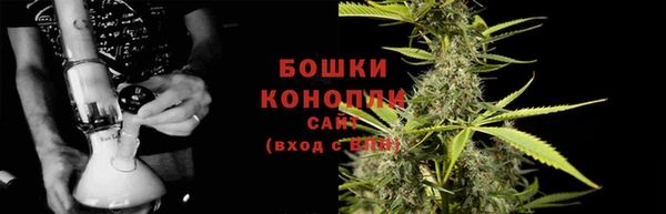 сатива Пестово