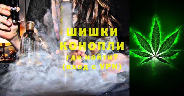 сатива Пестово